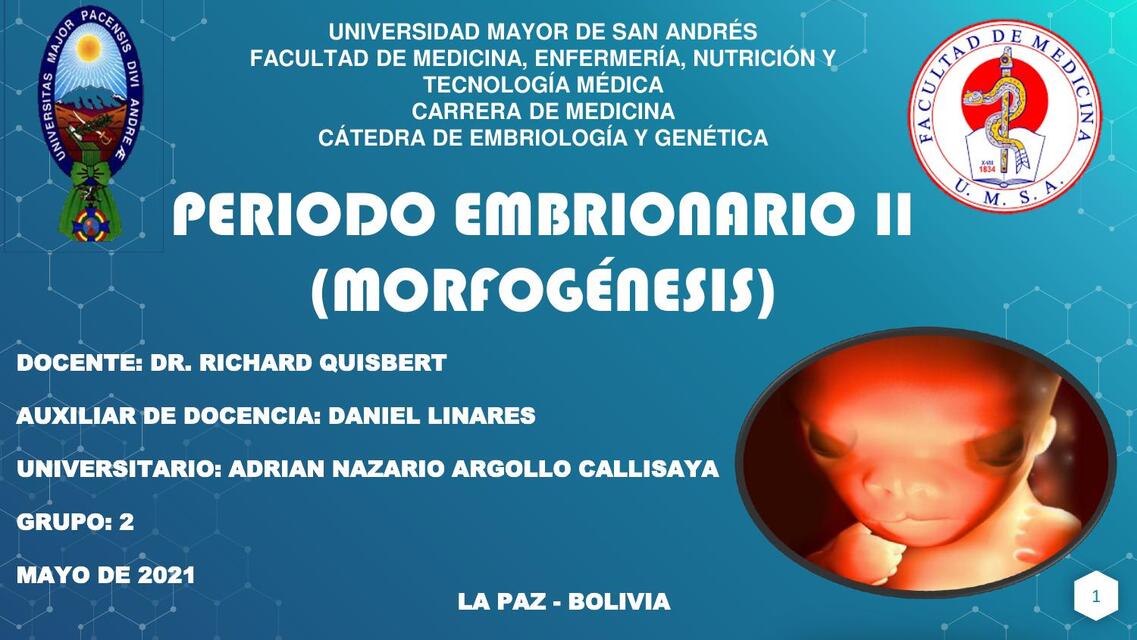 Periodo embrionario II morfogénesis  