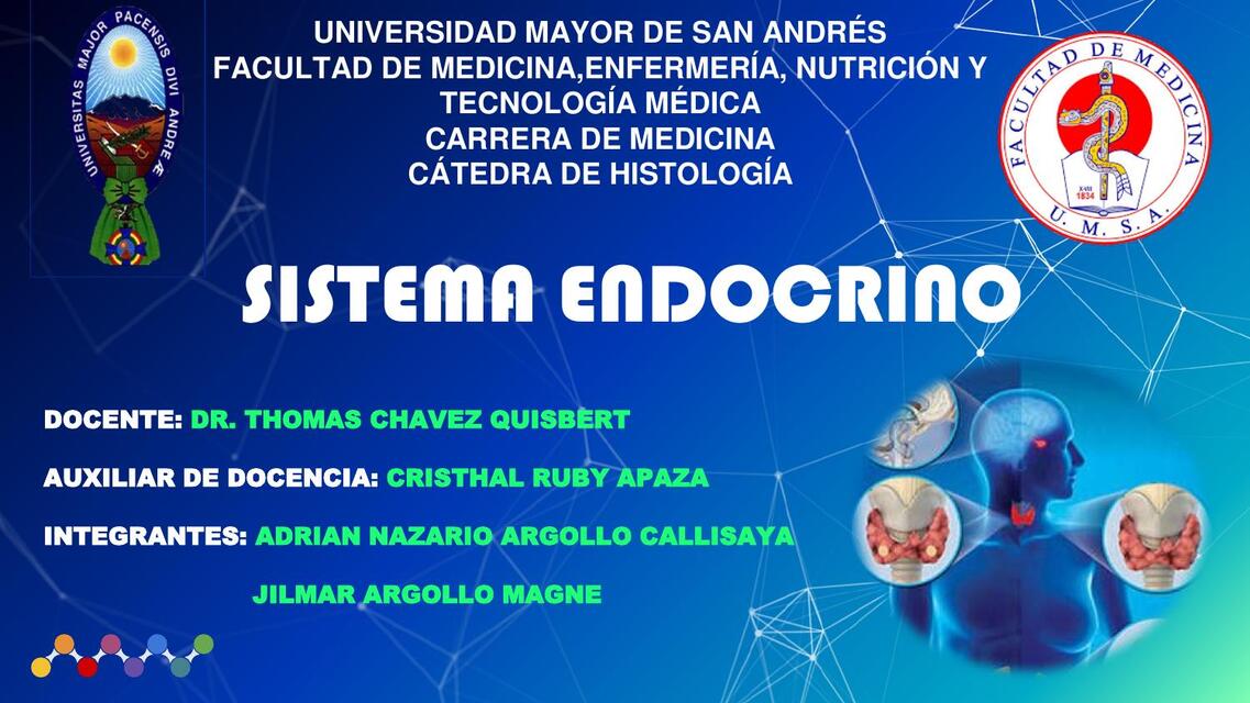 Sistema Endocrino 