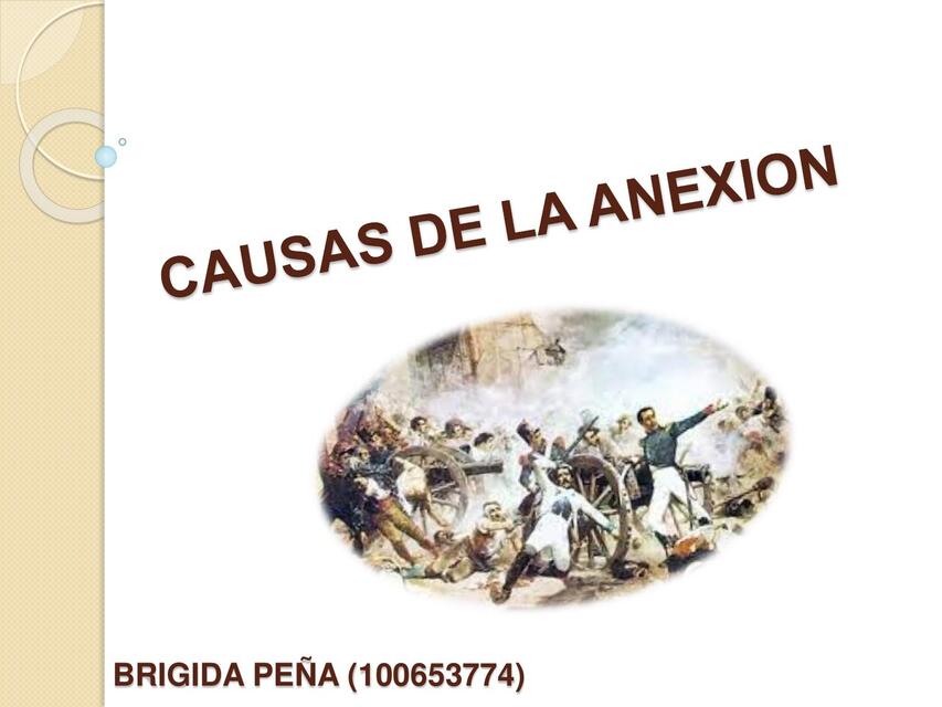 Causas de la anexión 