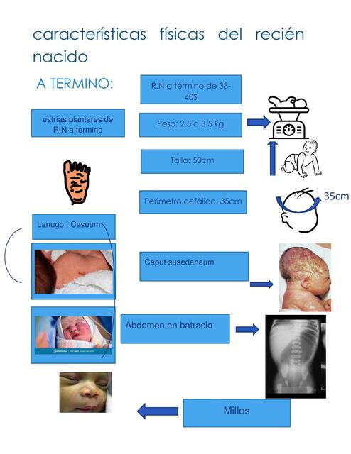 Características físicas del recién nacido 