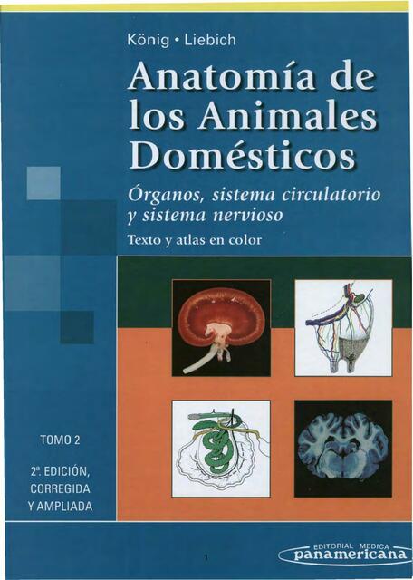 Anatomía Veterinaria