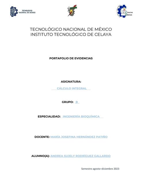 Portafolio de Evidencias 