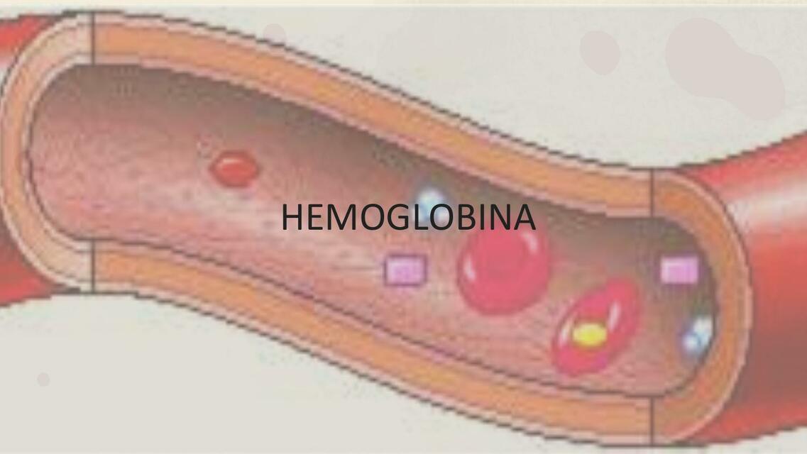 Hemoglobina 1