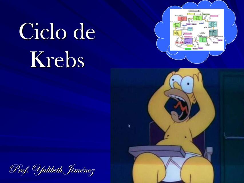 Ciclo de Krebs 