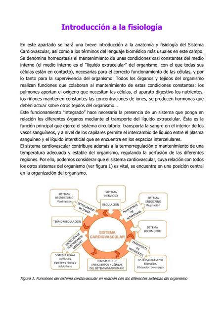 Introducción a la fisiología