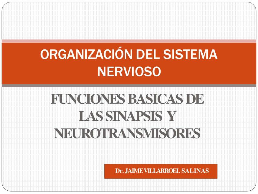 Funciones básicas de la sinapsis y neurotransmisores