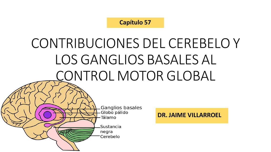 Contribuciones del cerebelo y los ganglios basales al control motor global 