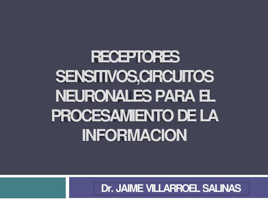 Receptores sensitivos, circuitos neuronales para el procesamiento de la información 