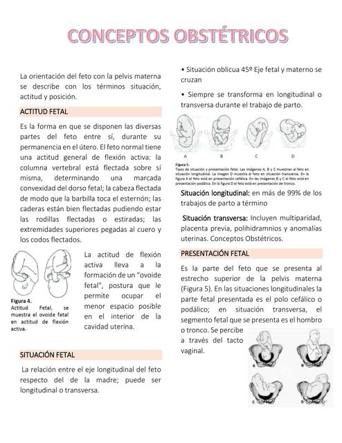 Conceptos obstétricos