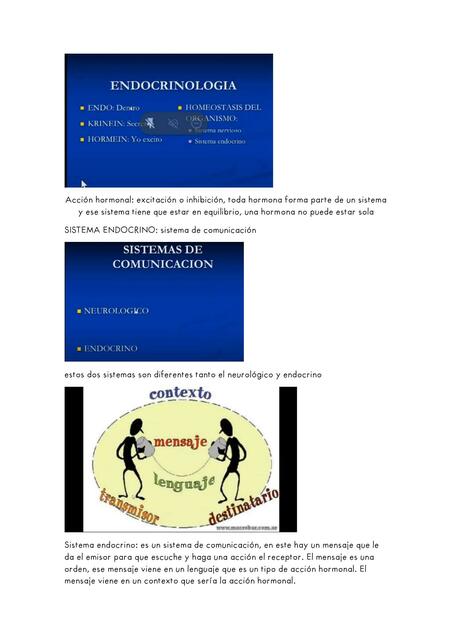 Endocrinología 