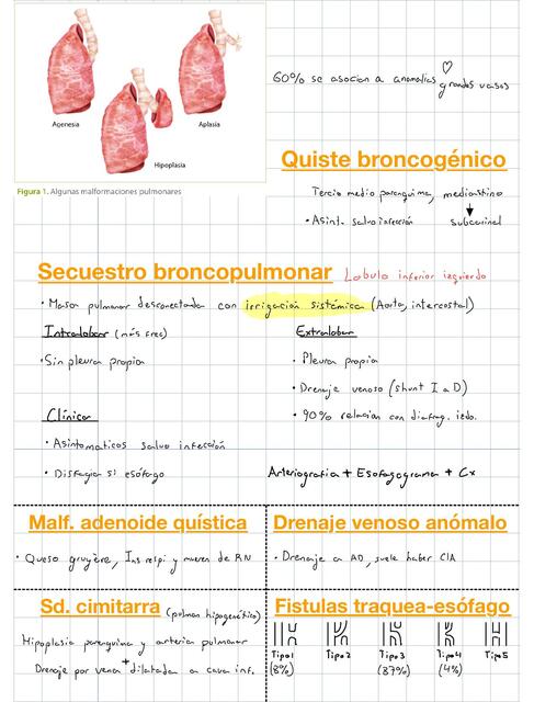 Malformaciones