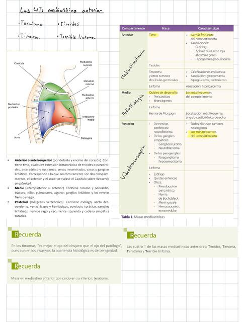 Enfermedades del mediastino y el diafragma