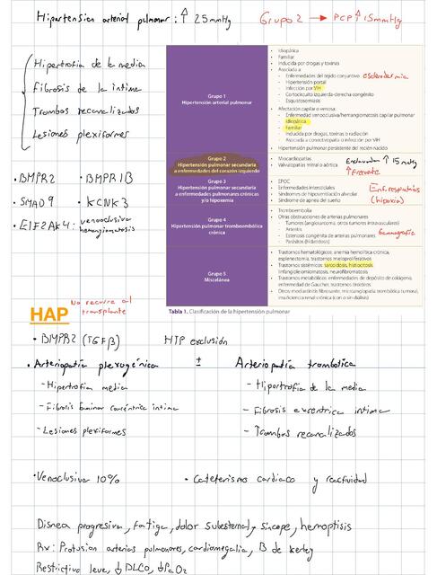 Hipertensión pulmonar