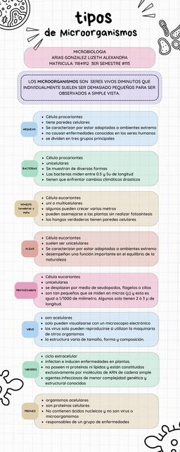 Tipo de microorganismos