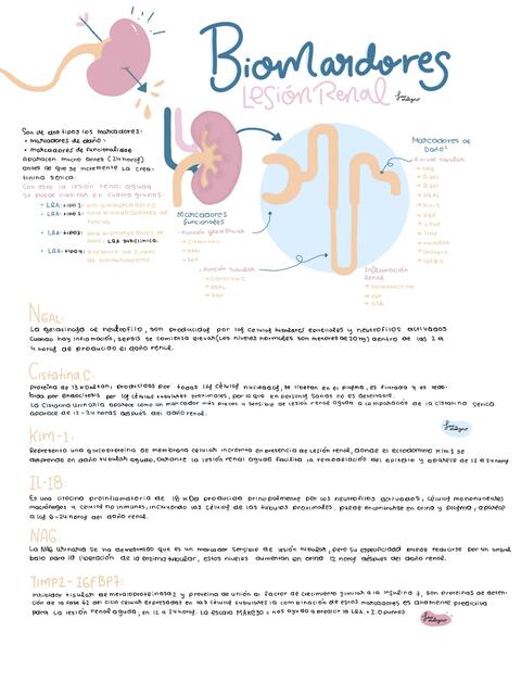 Biomarcadores de Lesion renal aguda