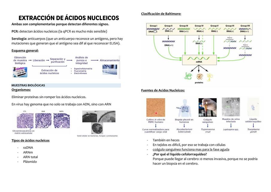 Extracción de ácidos nucleicos Gina uDocz