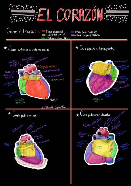 Caras del corazón  