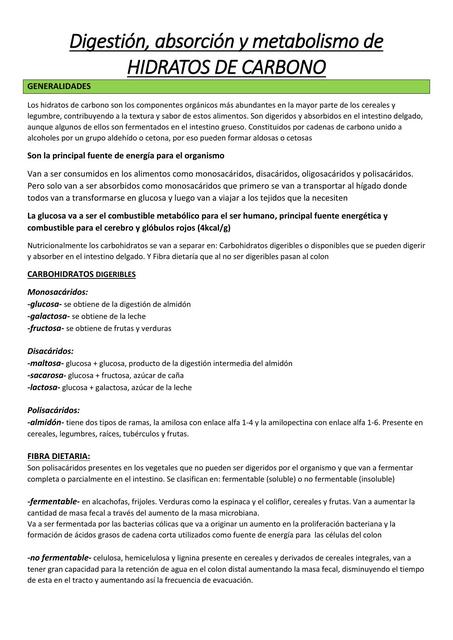 Digestión, absorción y metabolismo de hidratos de carbono