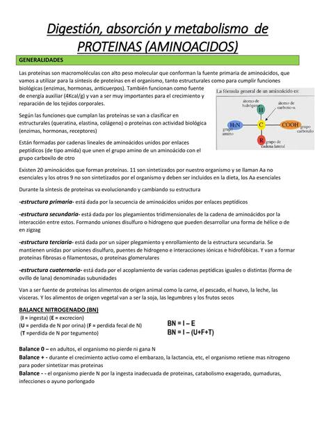 Digestión, absorción y metabolismo  de Proteínas (Aa)