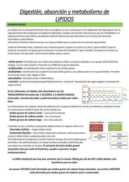 Digestión, absorción y metabolismo de Lípidos