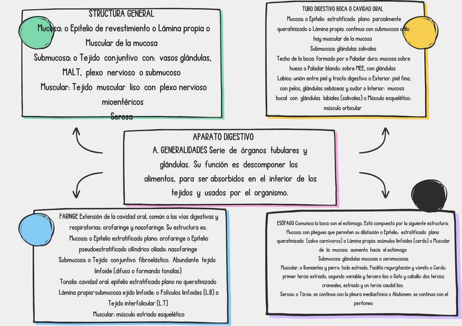 Histologia