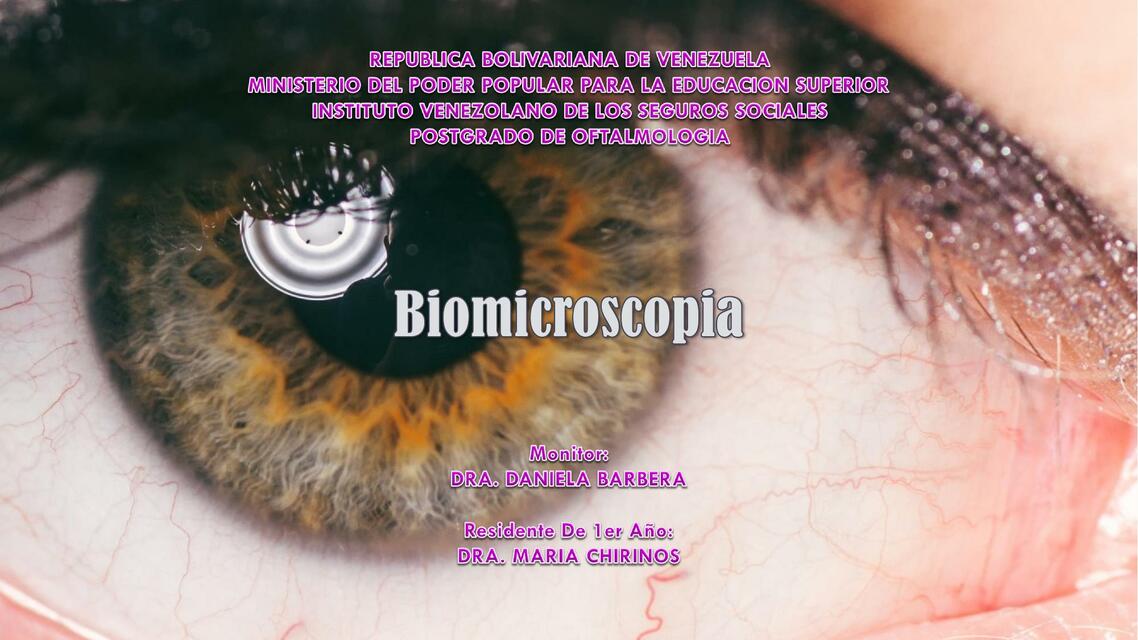 Biomicroscopia