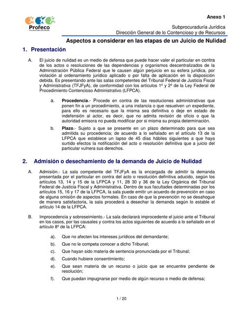 Juicio de Nulidad Administrativo