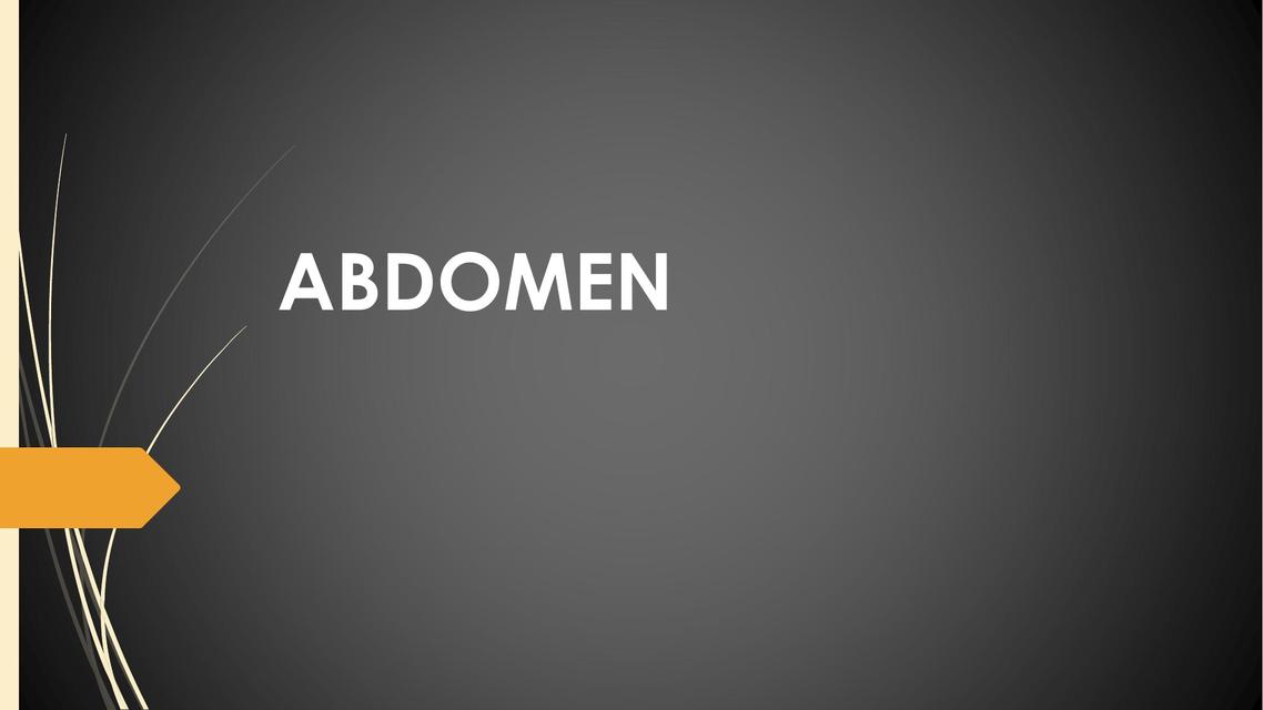 Abdomen