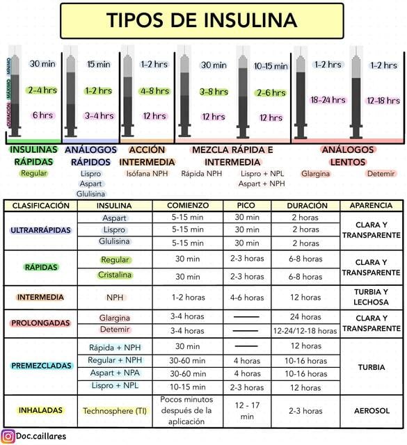 TIPOS DE INSULINA Dr Boris Moises Caillares Monta o UDocz tipos-de-insulina-dr-boris-moises-caillares-monta-o-udocz