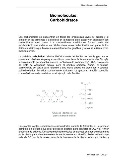 Carbohidrattos