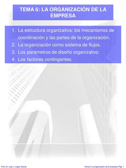 Tema 6 la organización de la empresa