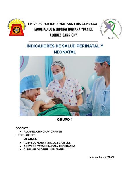 Indicadores de Salud Perinatal y Neonatal 