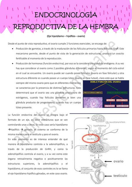 Endocrinología Reproductiva de la hembra