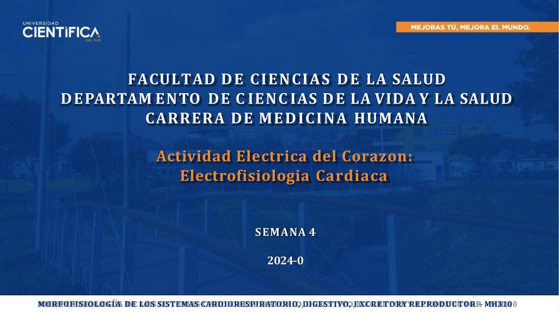 Actividad Eléctrica del Corazón: Electrofisiología Cardiaca