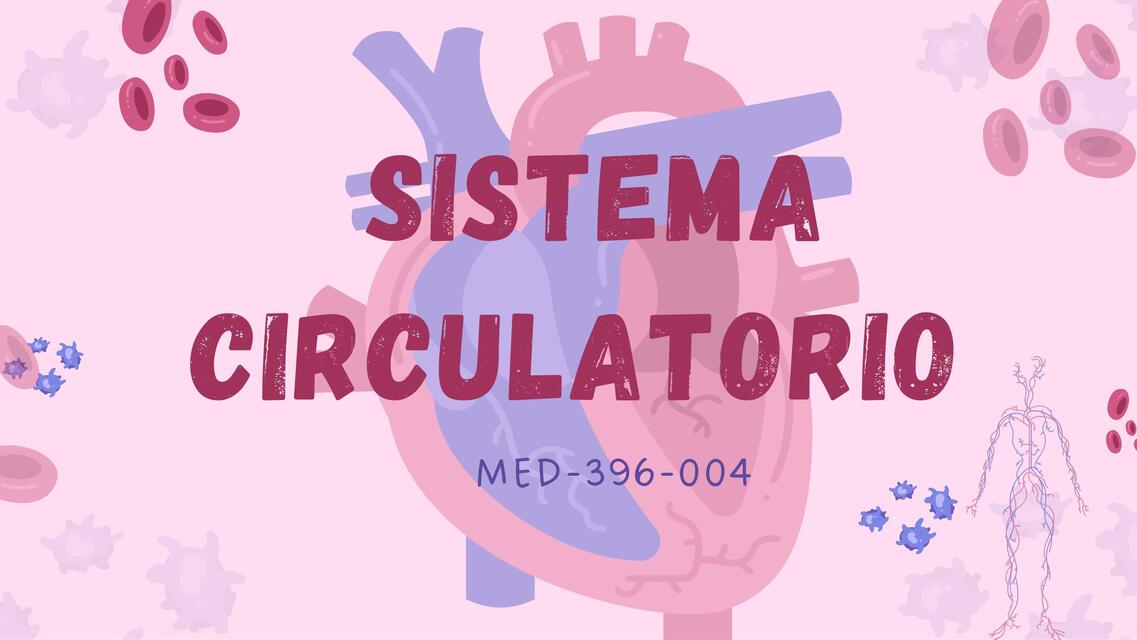 Sistema circulatorio 