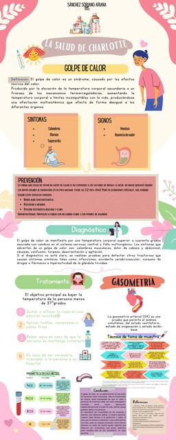 Infografia caso charlott