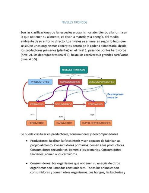 Niveles Tróficos 