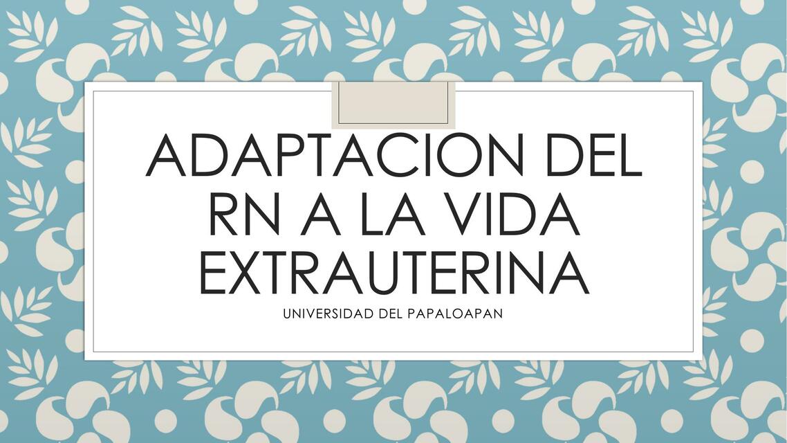 Adaptación del RN a la vida extrauterina 