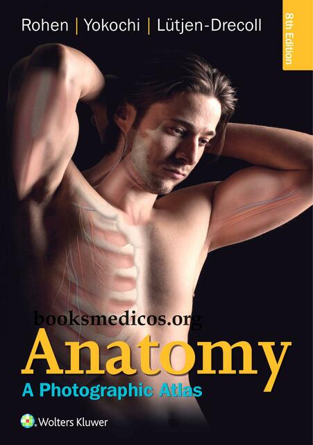 Anatomy Yokochi a photographic atlas 