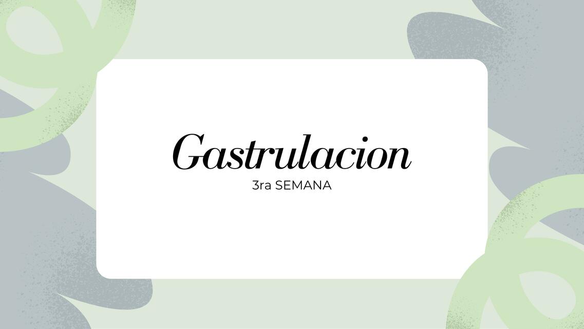 Gastrulación