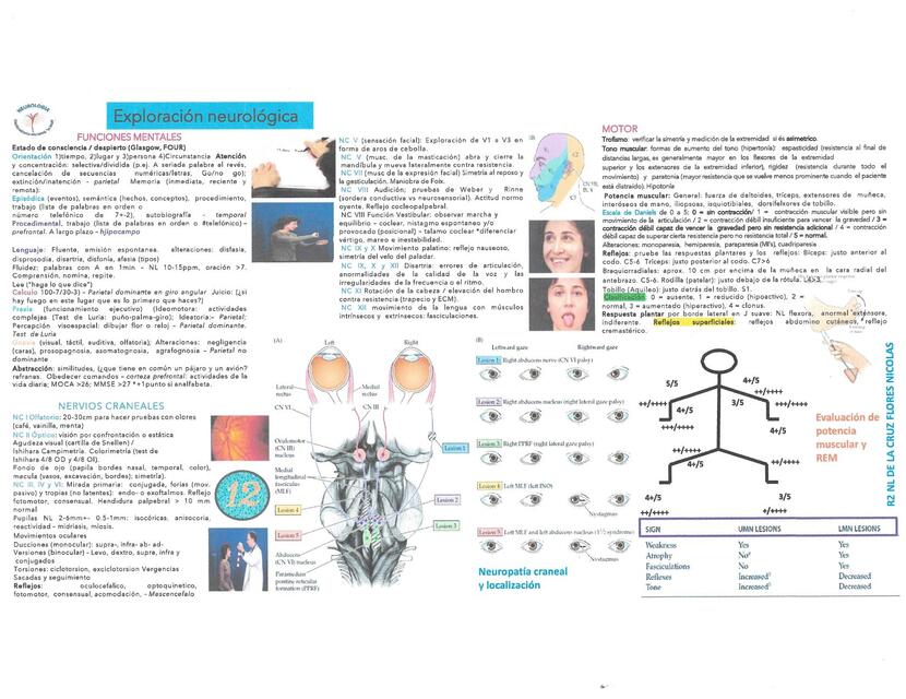 Exploración neurológica