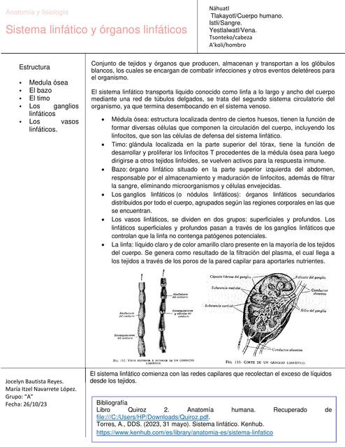 Método de Cornell Sistema linfático y órganos linfáticos 