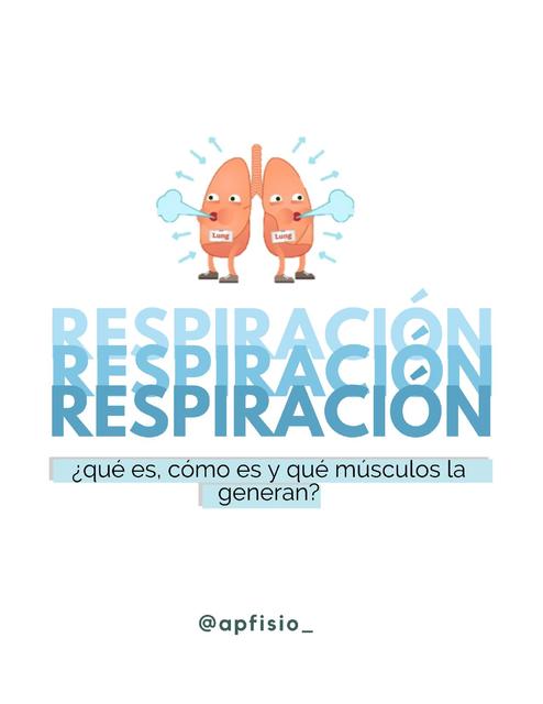 Respiracion: sobre sus tipos y otros datos 