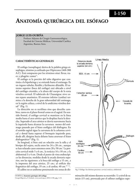 Anatomía quirúrgica del esófago