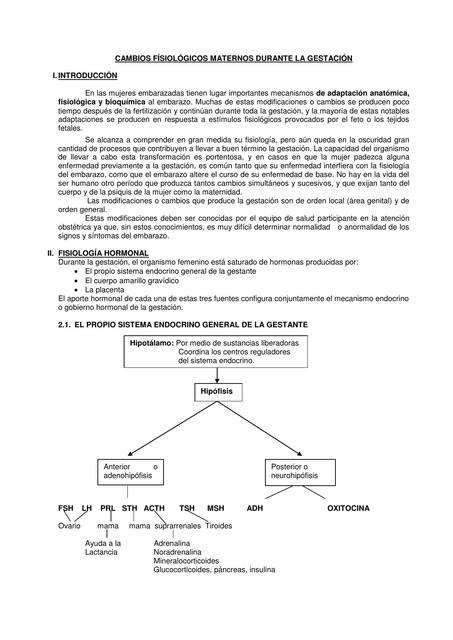 CAMBIOS FISIOLÓGICOS MATERNOS