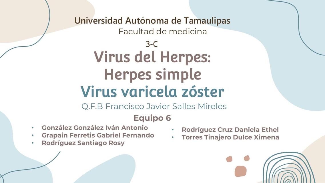 Virus del Herpes: Herpes simple 