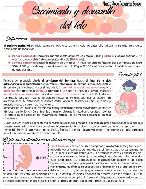 Crecimiento y desarrollo del feto