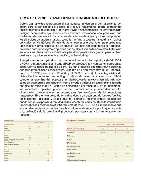 Opioides, analgesia y control del dolor