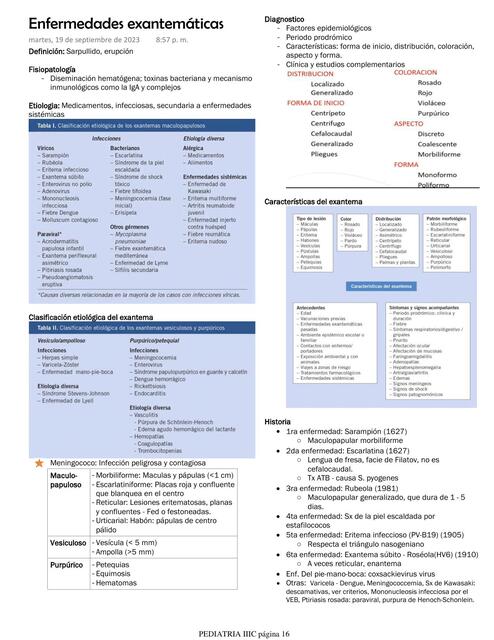 Enfermedades Exantemáticas  