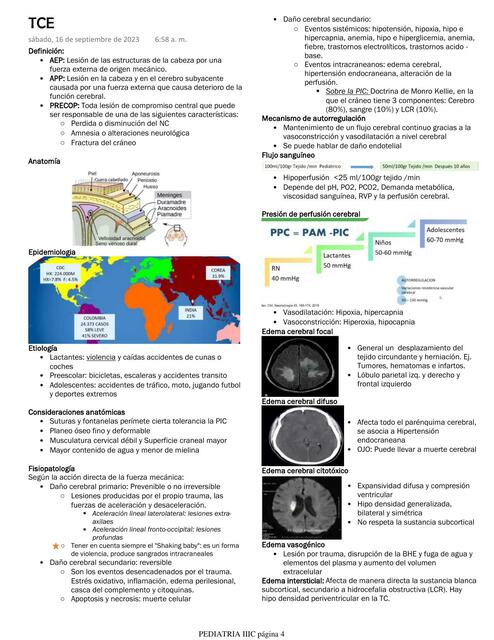 Trauma Craneoencefálico en Pediatría